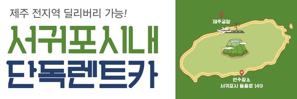 [시민제보]제주도 서귀포 불법렌트카 영업
